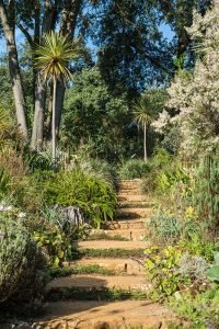 Abbotsbury Subtropical Garden